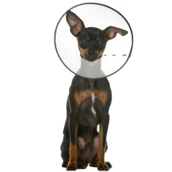 ZenPet E-Clear Plastic Recovery Collar for Dogs & Cats
