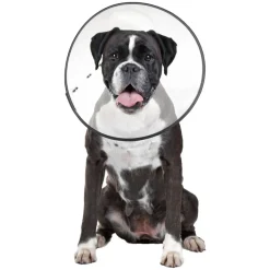 ZenPet E-Clear Plastic Recovery Collar for Dogs & Cats