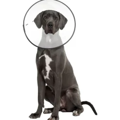 ZenPet E-Clear Plastic Recovery Collar for Dogs & Cats