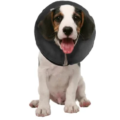 ZenPet ZenCollar Inflatable Recovery Collar for Dogs & Cats