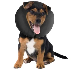 ZenPet ZenCollar Inflatable Recovery Collar for Dogs & Cats