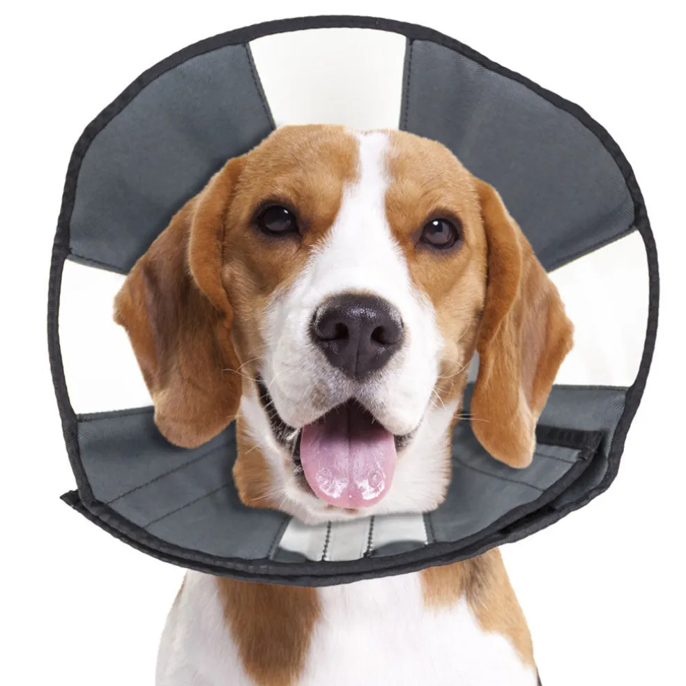 ZenPet ZenCone Soft Recovery Collar for Dogs & Cats