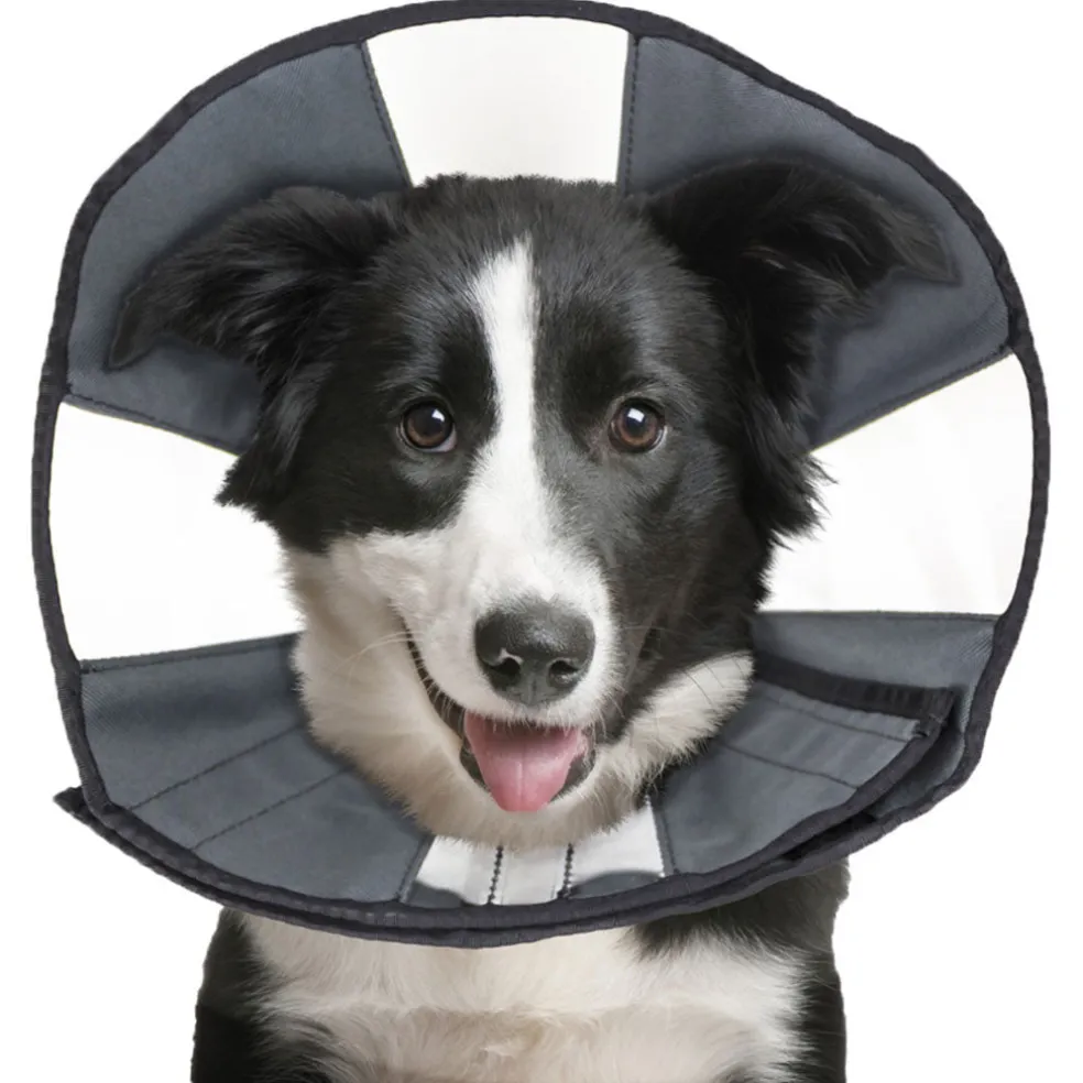 ZenPet ZenCone Soft Recovery Collar for Dogs & Cats