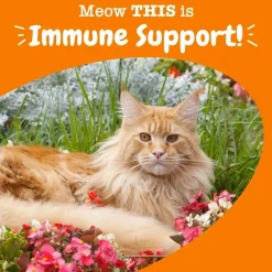 Zesty Paws Aller-Immune Bacon Flavored Immune System Chews for Cats (60 ct)