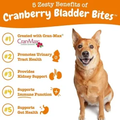 Zesty Paws Cranberry Bladder Bites Bacon Flavored Chews for Dogs (90 ct)