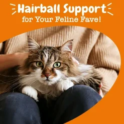 Zesty Paws Hairball Bites Salmon Flavored Chews for Cats (60 ct)