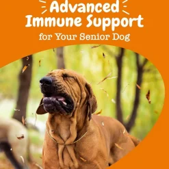 Zesty Paws Senior Advanced Aller-Immune Salmon Flavored Chews for Dogs (90 ct)