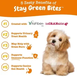 Zesty Paws Stay Green Bites Chicken Flavored Gut Health Chews for Dogs (90 ct)