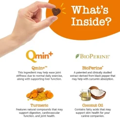 Zesty Paws Turmeric Curcumin Bites Duck Flavored Chews for Dog (90 ct)