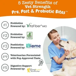 Zesty Paws Vet Strength Pre, Pro & Postbiotics Bites Rotisserie Chicken Flavored Chews for Dogs (90 ct)