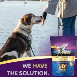 Zignature Trout Formula Ziggy Bars with Pumpkin Dog Treats, 12-oz