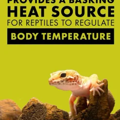 Zilla Day White Incandescent Spot Bulb for Reptiles