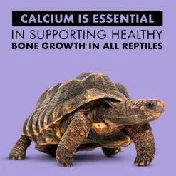 Zilla Food Calcium Supplement Spray For Reptile (8 oz)