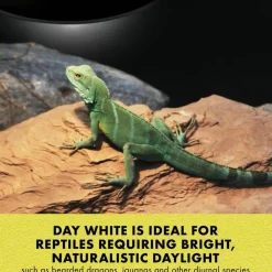 Zilla Mini Day White Halogen Bulb for Reptiles