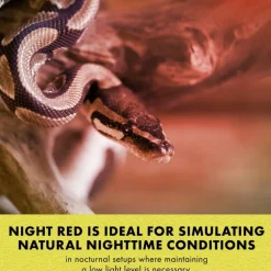 Zilla Mini Night Red Halogen Bulb for Reptiles