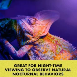 Zilla Night Black Incandescent Spot Bulb for Reptiles