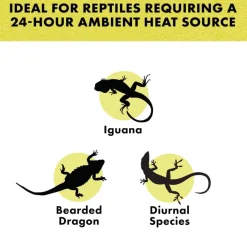Zilla Night Black Incandescent Spot Bulb for Reptiles