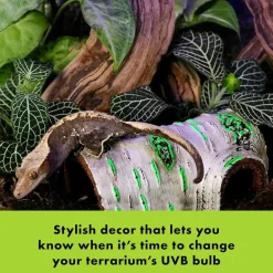 Zilla Rapid Sense UV Detecting Decor Poplar Log, Medium