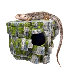 Zilla Rock Cave
