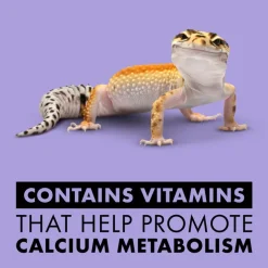 Zilla Vitamin Supplement with Carotene Food Spray For Reptiles (8 oz)