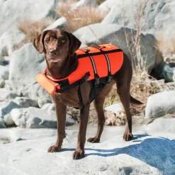 ZippyPaws Adventure Dog Life Jacket, Red