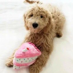 Zippy Paws Birthday Box Interactive Plush Toy for Dogs (3 pc)