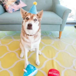 Zippy Paws Birthday Box Interactive Plush Toy for Dogs (3 pc)