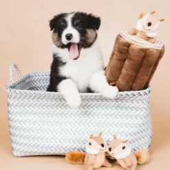 Zippy Paws Burrow Chipmunks 'n Log - Interactive Log Toy for Dogs