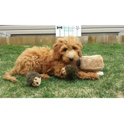Zippy Paws Burrow Interactive Squeaky Hedgehog Den Toy for Dogs