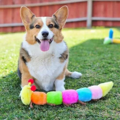 Zippy Paws Caterpillar Rainbow Squeaky Toy for Dogs, Extra Large