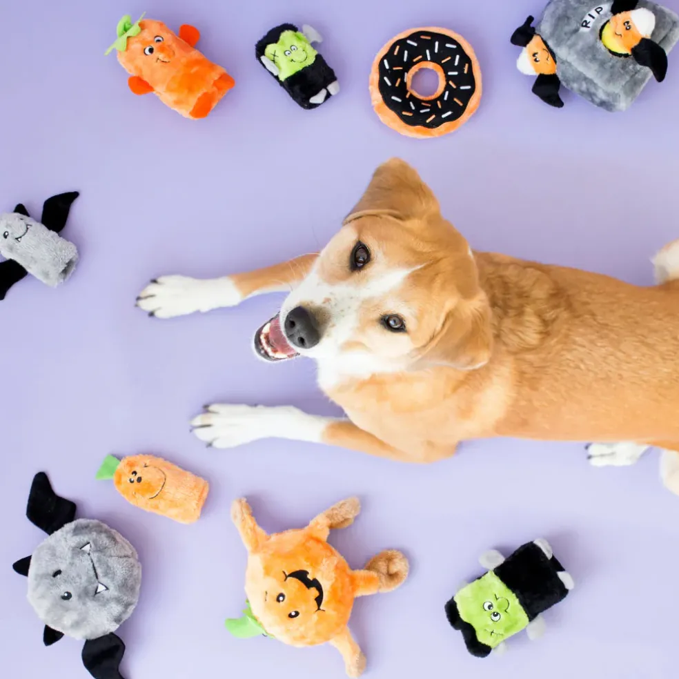 ZippyPaws Grunterz Dog Toy, Orange Spider
