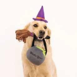 Zippypaws Halloween Costume Kit Witch for Dogs