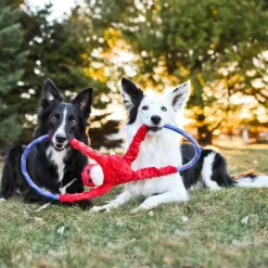 Zippy Paws Monkey RopeTugz Durable Rope Squeaky Chew Toy for Dogs