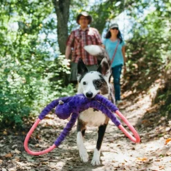 Zippy Paws Monkey RopeTugz Durable Rope Squeaky Chew Toy for Dogs