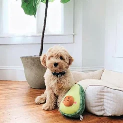 Zippy Paws NomNomz Avocado Soft Plush Squeaker Toy for Dogs