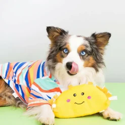 Zippy Paws NomNomz Taco Plush Squeaky Toy for Dogs