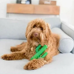 Zippy Paws Tuff Cactus Squeaky Plush Tuff Toy for Dogs (Large)