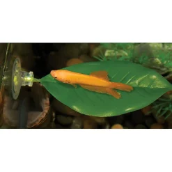 Zoo Med Betta Bed Leaf Hammock