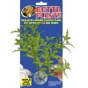 Zoo Med Betta Plant Maple Leaf, Green, 1-count