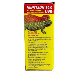 Zoo Med Day & Night Desert Lighting Kit