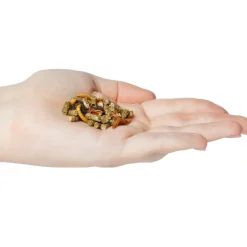 Zoo Med Gourmet Bearded Dragon Dry Food