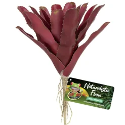 Zoo Med Naturalistic Flora Fireball Bromeliad Terrarium Plant