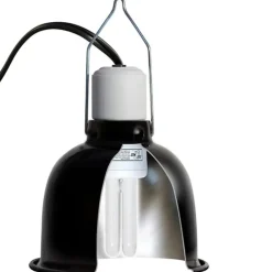 Zoo Med ReptiSun 5.0 UVB Compact Fluorescent Mini Reptile Lamp, 13-Watt