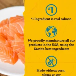 Zuke's Puppy Naturals Salmon & Chickpea Recipe Grain-Free Treats for Puppies (5 oz)