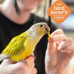 ZuPreem FruitBlend Flavor with Natural Flavors Daily Large Bird Food
