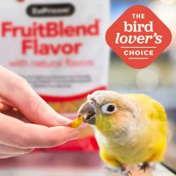 ZuPreem FruitBlend Flavor with Natural Flavors Daily Large Bird Food