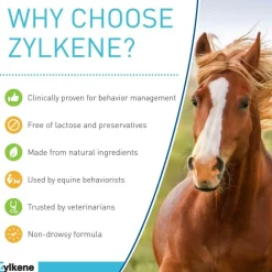Zylkene Equine Behavior Support for Horses (20 packets)