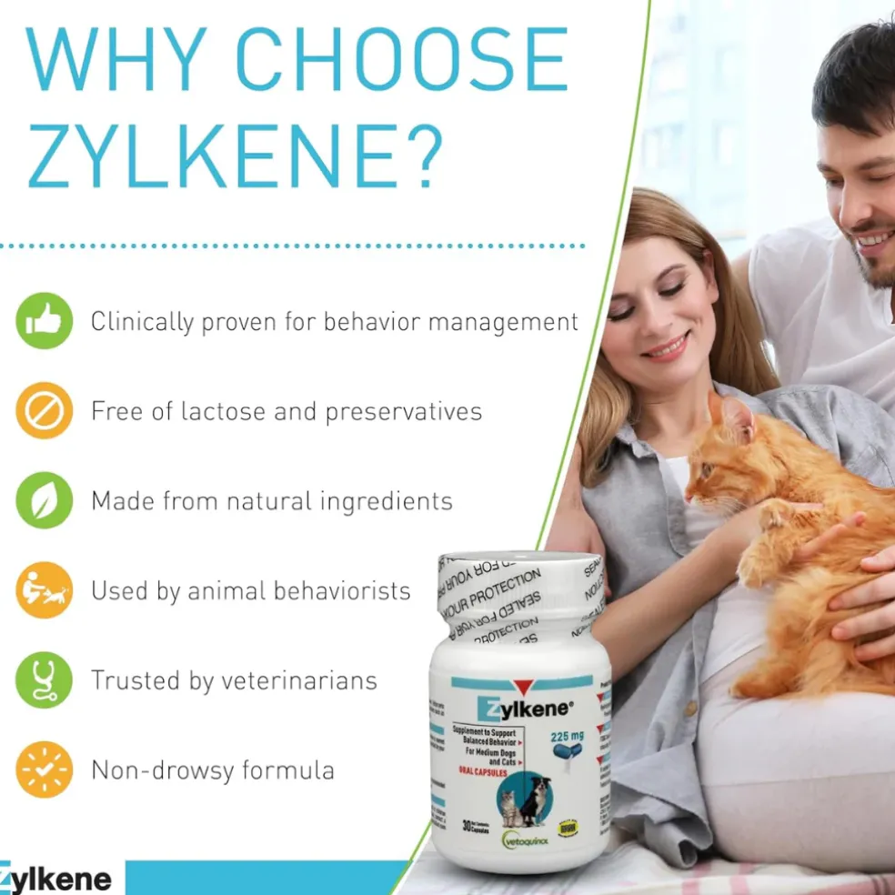 Zylkene Plus Long-Term Calming Support (30 capsules)