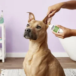 Zymox Otic Ear Treatment without Hydrocortisone