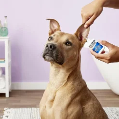 Zymox Otic Enzymatic Solution 1% Hydrocortisone